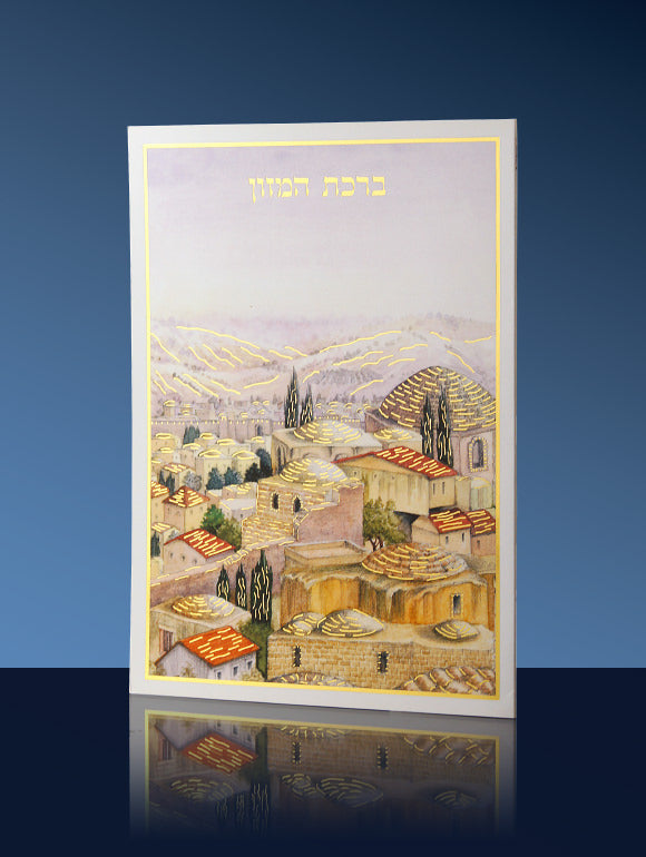 BIRKAT HAMAZON 133